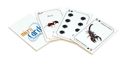 MicroCards - Printable Playing Cards - Creepy Crawlies Set
