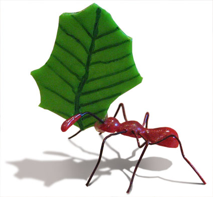 Glue gun bug, Leafcutter Ant