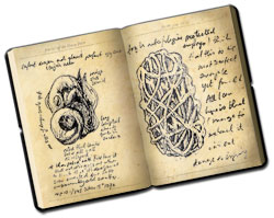 Dragon journal with drawings