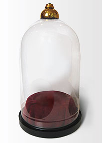 Victorian domed glass case made from soda bottle