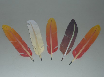 jokate's Feather Quills